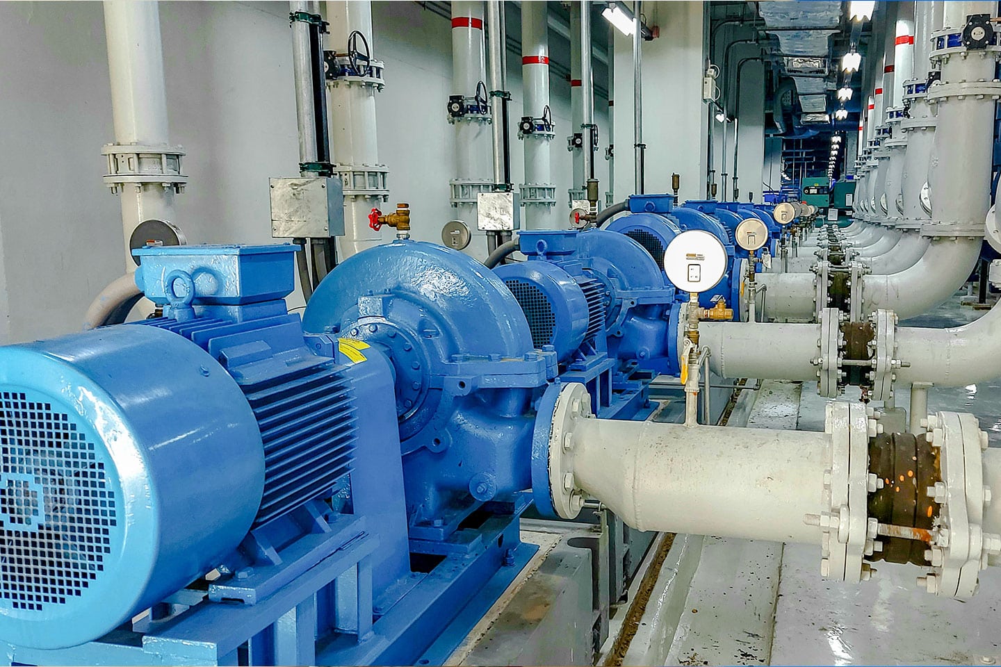 Car Hoist Sunshine Coast Solutions Queensland